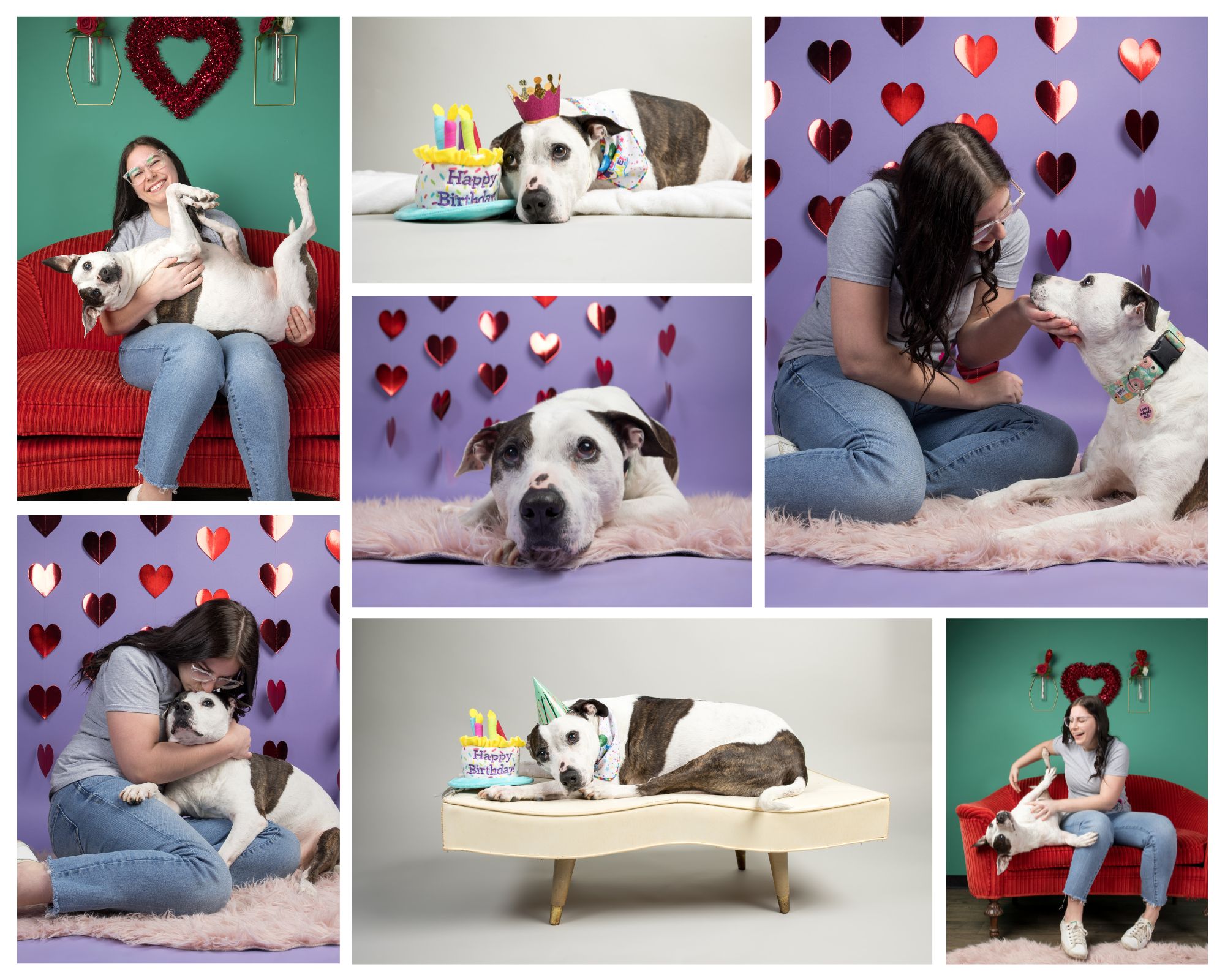 End of life pet photography -- 7 images showcasing an owner and her pitbull
