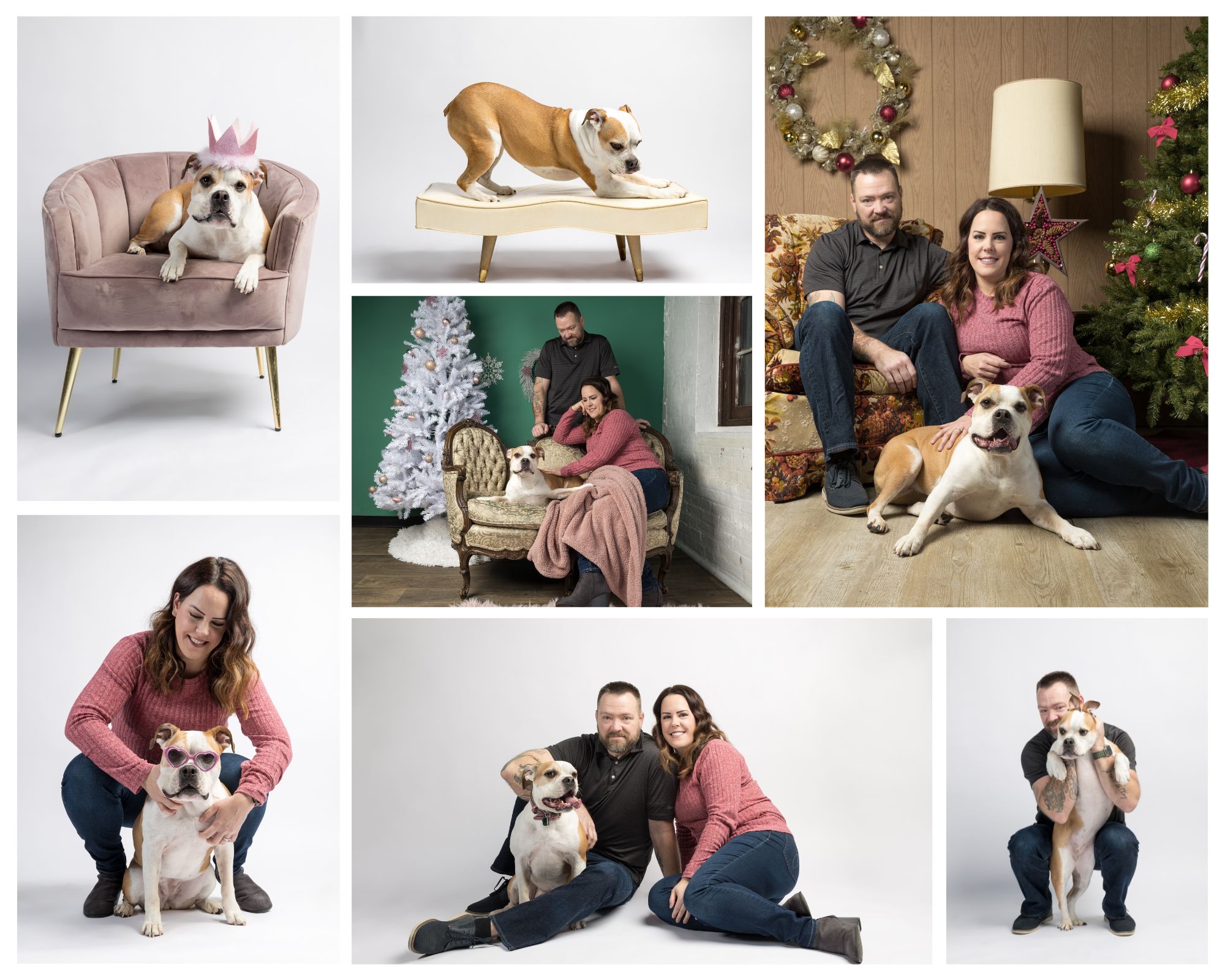 End of life pet photography -- a series of images with a bulldog and her human mom and dad