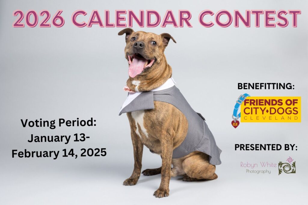 A graphic featuring a dog. Text states it's the 2026 Calendar Contest benefitting Friends of CITY DOGS Cleveland animal rescue and presented by Robyn White Photography. Voting period is January 13-February 14.