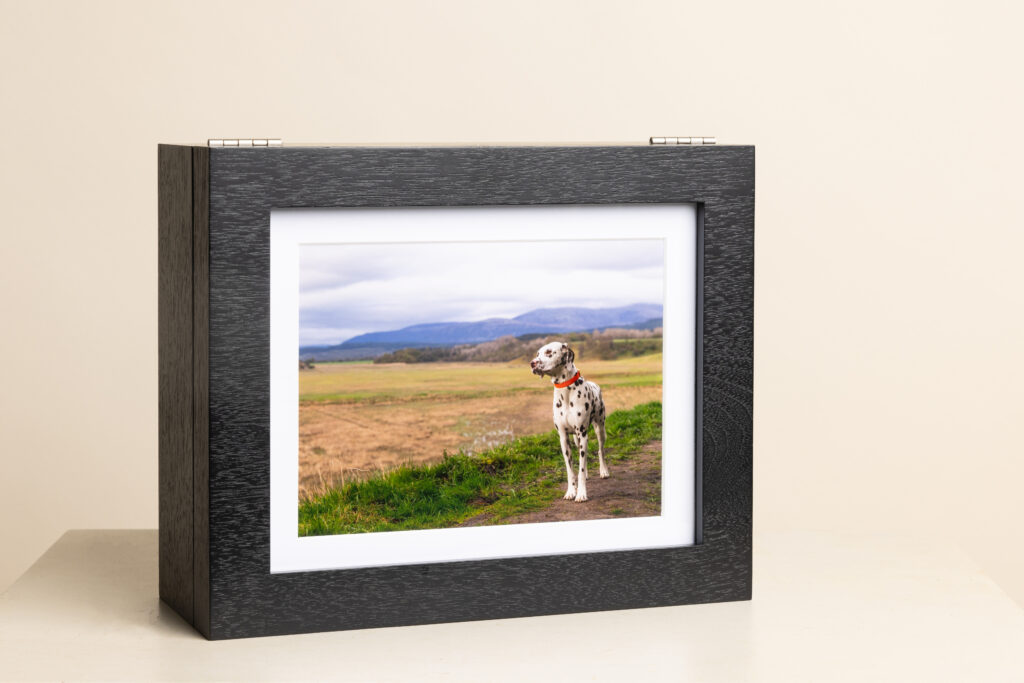 Black folio box featuring an image of a Dalmatian on a hillside. 