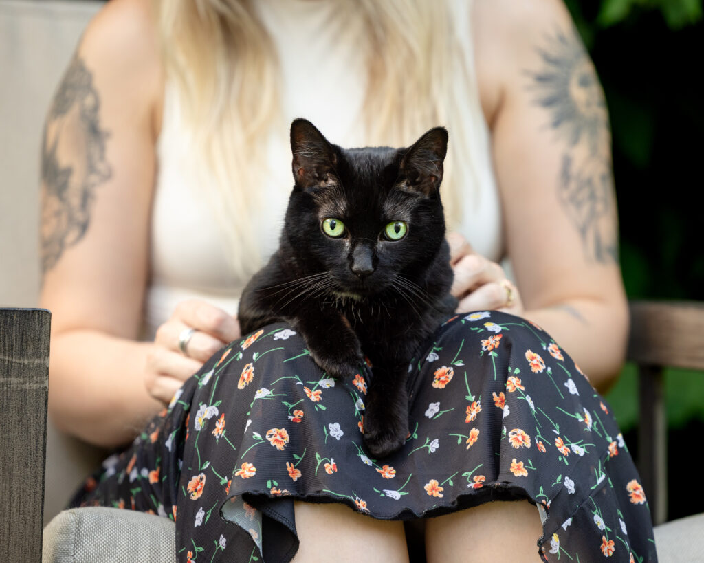 A black cat with green eyes is sitting on a woman's lap in a back yard in Cleveland, Ohio.