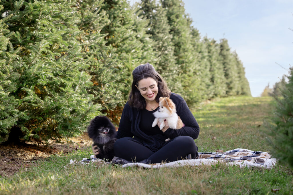 A woman is sitting in the middle of a Christmas Tree farm at Rogish Farms in Chesterland Ohio. She is sitting with two Pomeranian dogs.
