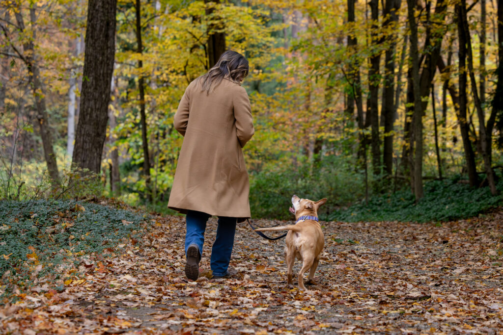 A woman in a trench coat is walking away from the camera with her senior pitbull. It's fall outside of Cleveland Ohio and leaves are on the ground.