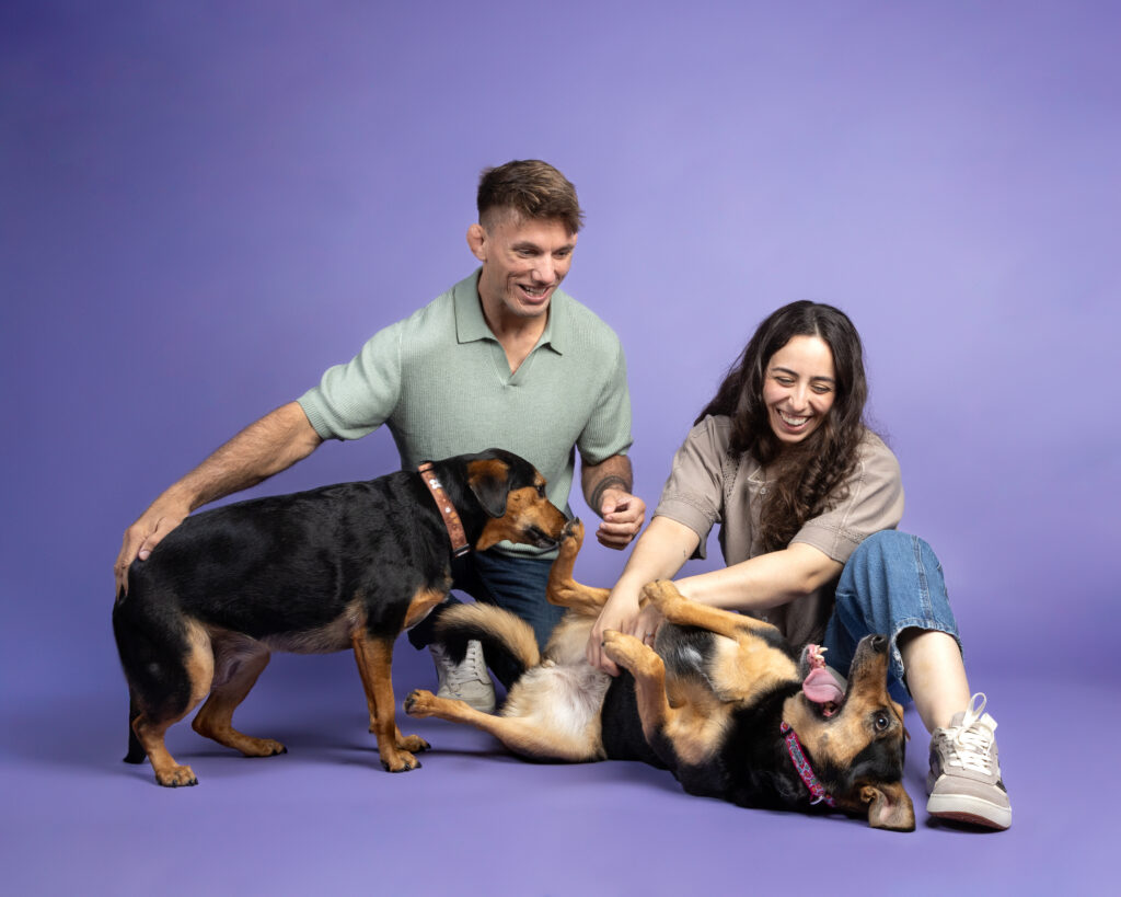 A man, woman, and their two dogs are on a purple backdrop at Robyn White Photography studio in Cleveland Ohio. One dog is on his back, the other is starting to play with him, and the humans are playing with both dogs.